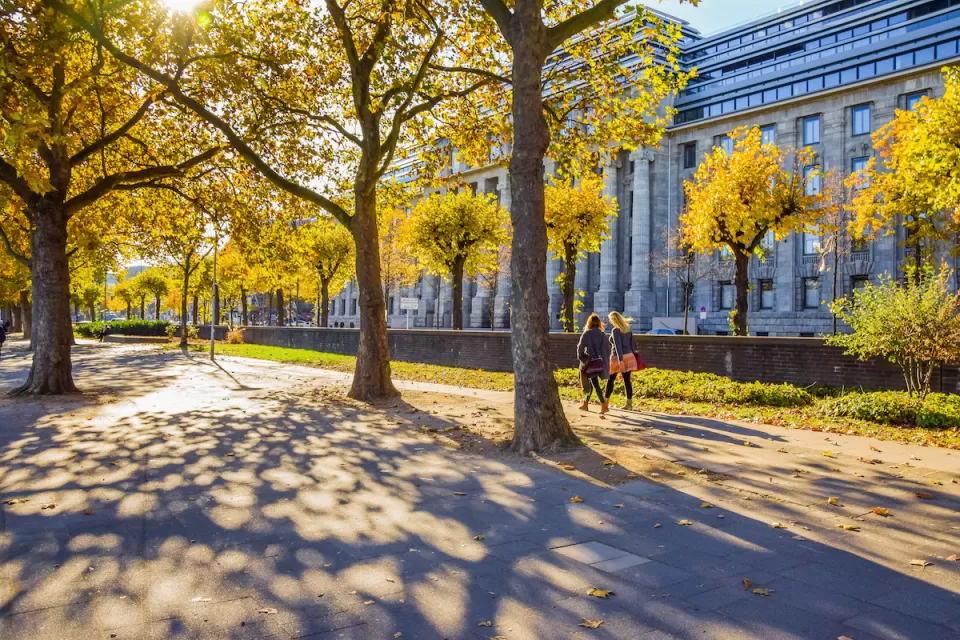 Two women walking on wide walkway among large trees next to neoclassical building in Cologne, Germany.